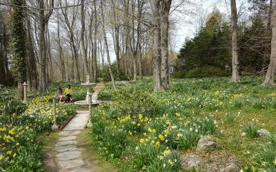 Magnificent Gardens of Rhode Island