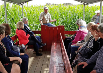 Group of Elderly people touring the Corn Haze.