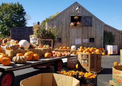 Box of Pumpkins for sale at Appleland Orchard - aa destination included in the Autumn in New England Tour.