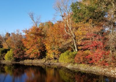 Colorful Maple Leaf around the Scituate Reservoir - a site included in the Autumn in New England Tour.