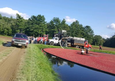 View of Cranberry Harvest with Ocean Spray - an experience included in the Plimoth Plantation & Cranberry Harvest.