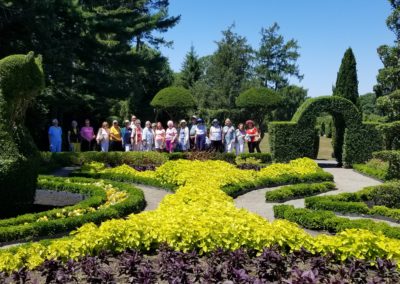 Tall green shaped animals filled the Green Animals Topiary Garden - included in the Magnificent Gardens of Rhode Island Tour