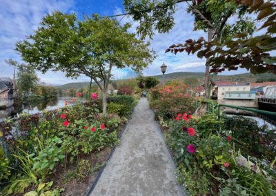 Closer look of the flowers at the Bridge of Flowers - an experience included in the Beauty of the Berkshires Tour.