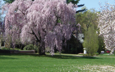 Swan Point: Rhode Island’s Most Beautiful Resting Place